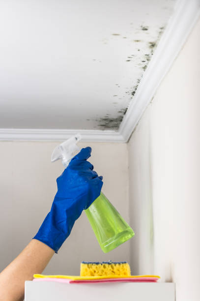 Water Damage Restoration in Palo Alto, CA